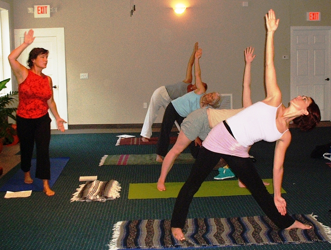 Lisa guides Triangle