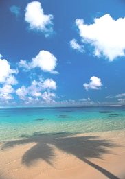 beach image